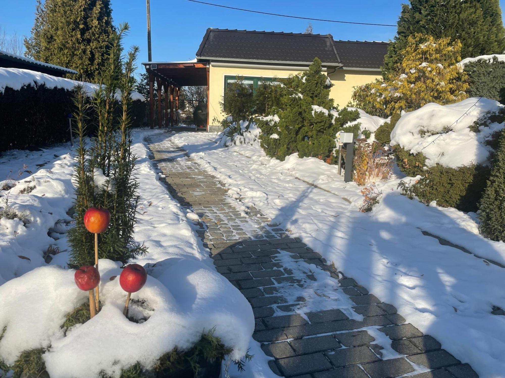 Ferienhaus Amare Mit Fasssauna, Eigener Terrasse & Kamin 包岑 外观 照片